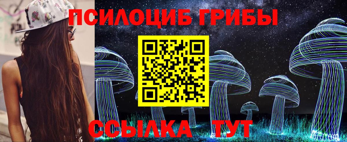 Нягань  наркота  Вход с VPN  Галлюциногенные грибы Cubensis 